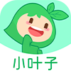 小叶子